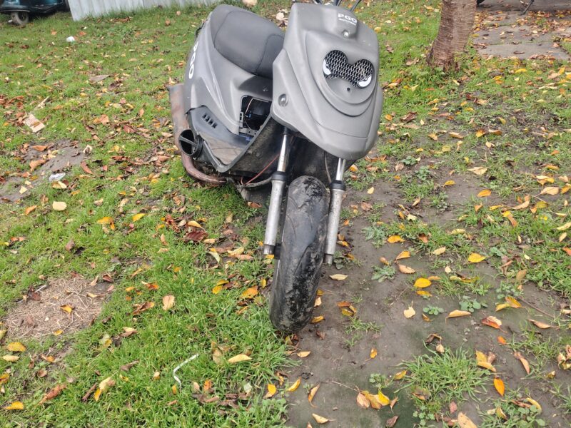 Pgo big max 70cc sport